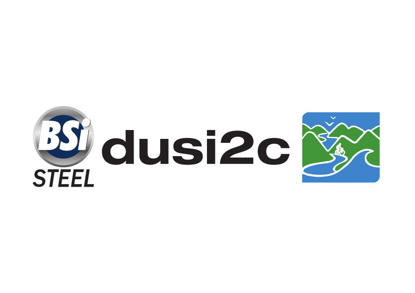 BSI dusi2c 2014 new logo 001